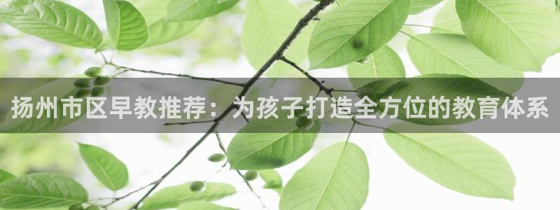 蓝狮娱乐招商天原判官333OO：扬州市区早教推荐：为孩子打造全方位的教育体系