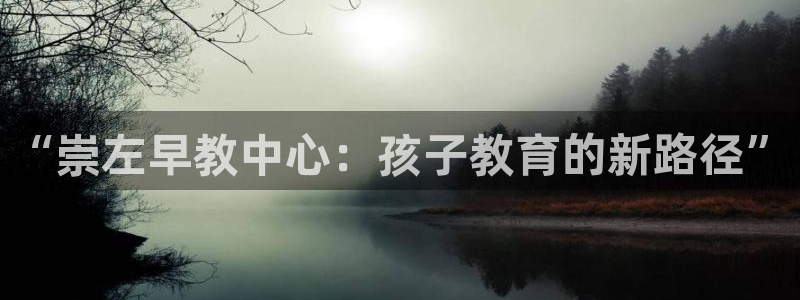 天狮娱乐 来q.395-867：“崇左早教中心：孩子教育的新路径”