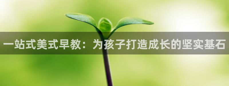 天狮娱乐反点啥意思：一站式美式早教：为孩子打造成长的坚实基石