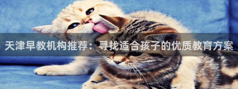 天狮娱乐反点啥意思：天津早教机构推荐：寻找适合孩子的优质教育方案