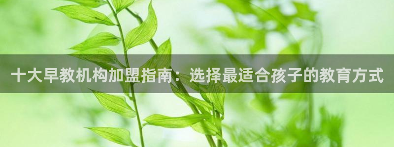 天狮国际娱乐平台:十大早教机构加盟指南:选择最适合孩子的教育方式