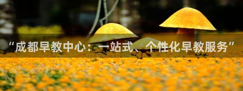 天狮娱乐卧j主管60447：“成都早教中心：一站式、个性化早教服务”