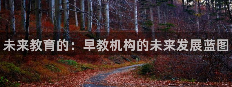 天狮源娱乐平台注册：未来教育的：早教机构的未来发展蓝图