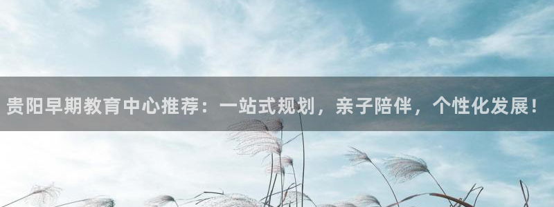 天狮娱乐平台找谁:贵阳早期教育中心推荐:一站式规划,亲子陪伴,个性化发展!