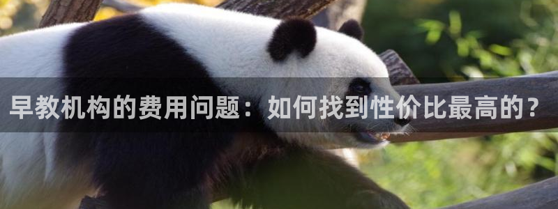 天狮娱乐指尖自:早教机构的费用问题:如何找到性价比最高的?