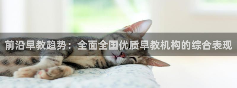 天狮娱乐代理怎么做：前沿早教趋势：全面全国优质早教机构的综合表现