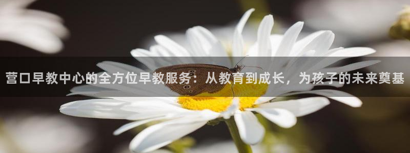 天狮娱乐注册：营口早教中心的全方位早教服务：从教育到成长，为孩子的未来奠基