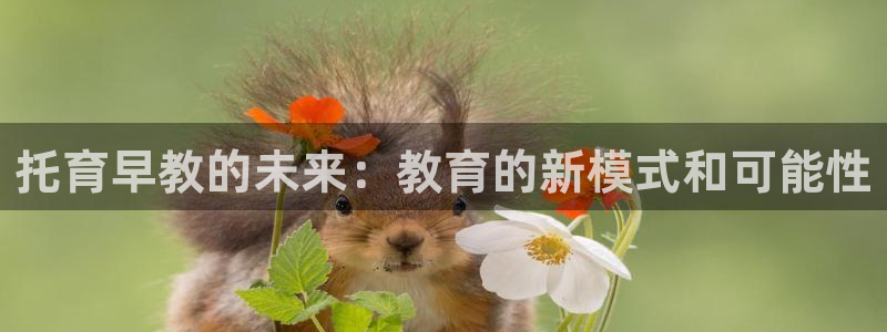 天狮娱乐返点:托育早教的未来:教育的新模式和可能性