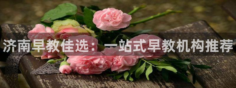 天狮娱乐app：济南早教佳选：一站式早教机构推荐