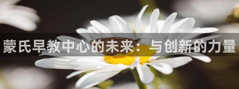 天狮天狮娱乐娱乐q：蒙氏早教中心的未来：与创新的力量