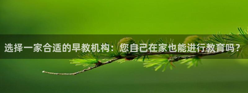 天狮娱乐下载app:选择一家合适的早教机构:您自己在家也能进行教育吗?