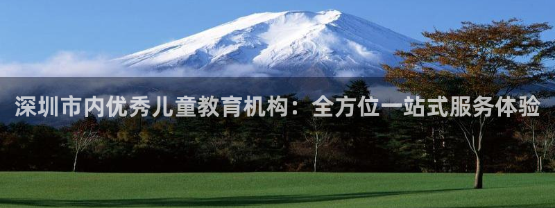 天狮娱乐e招d商98732:深圳市内优秀儿童教育机构:全方位一站式服务体验