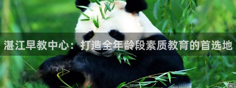 天狮娱乐招:湛江早教中心:打造全年龄段素质教育的首选地