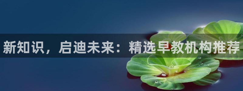 天狮娱乐招商29229:新知识,启迪未来:精选早教机构推荐