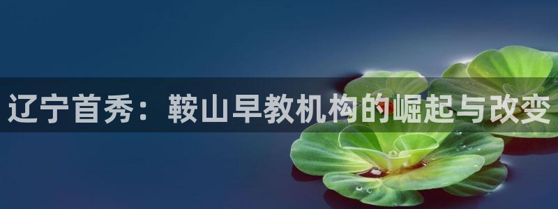 天狮娱乐1990:辽宁首秀:鞍山早教机构的崛起与改变