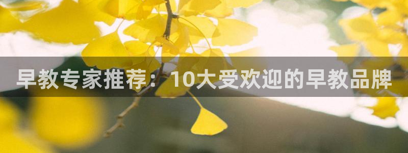 天狮娱乐1990注册:早教专家推荐:10大受欢迎的早教品牌